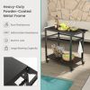 Double-Shelf Movable BBQ Cart with 4 Lockable Wheels